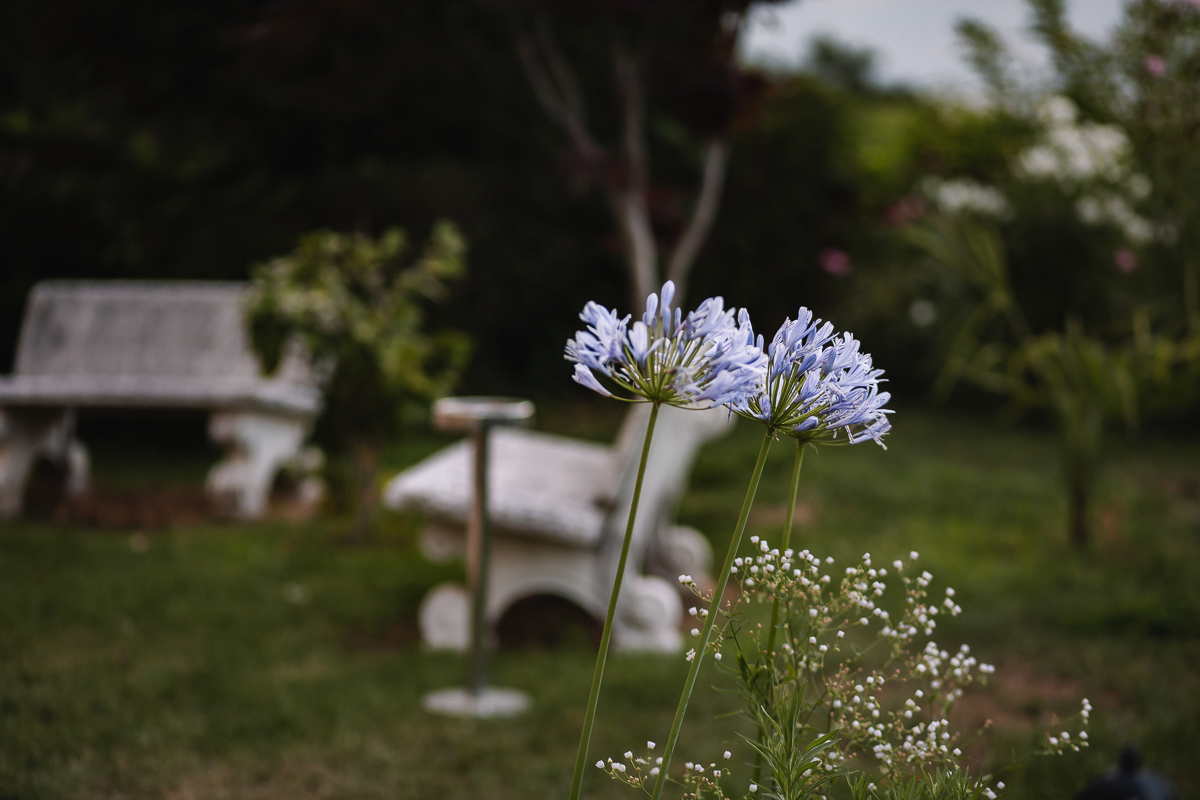Matrimonio al Castello Canalis di Cumiana(TO). Fiori del giardino