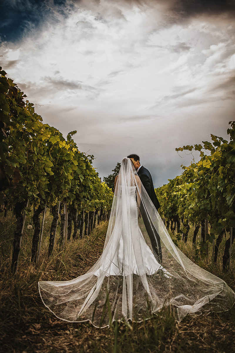 Matrimonio a Villa Delfini di Morsasco (AL) nel Monferrato. Ritratto degli sposi in mezzo alle vigne.