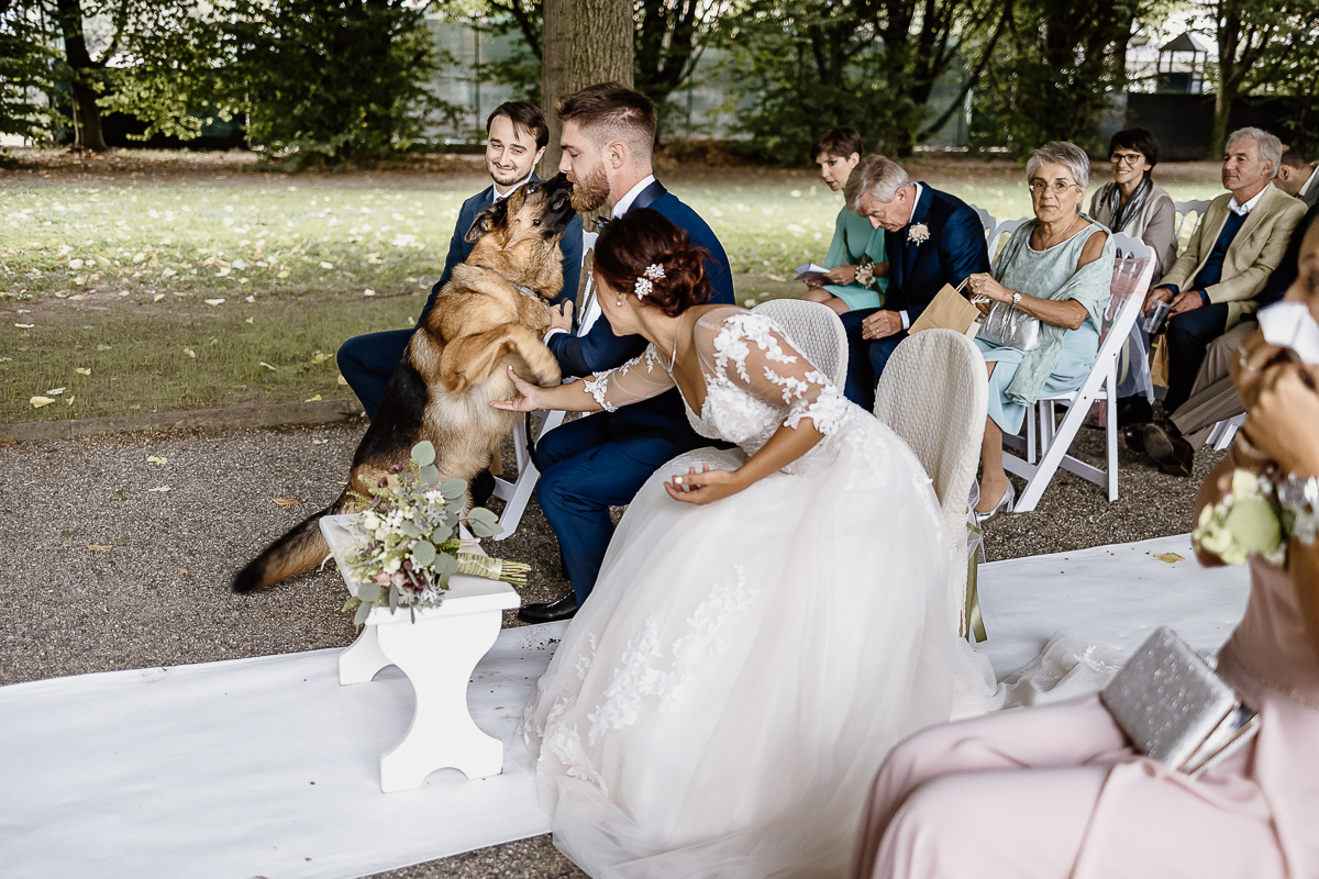 Castello dei Solaro, matrimonio di Noemi e Pietro. Cerimonia. Sposi giocano con il loro cane pastore tedesco
