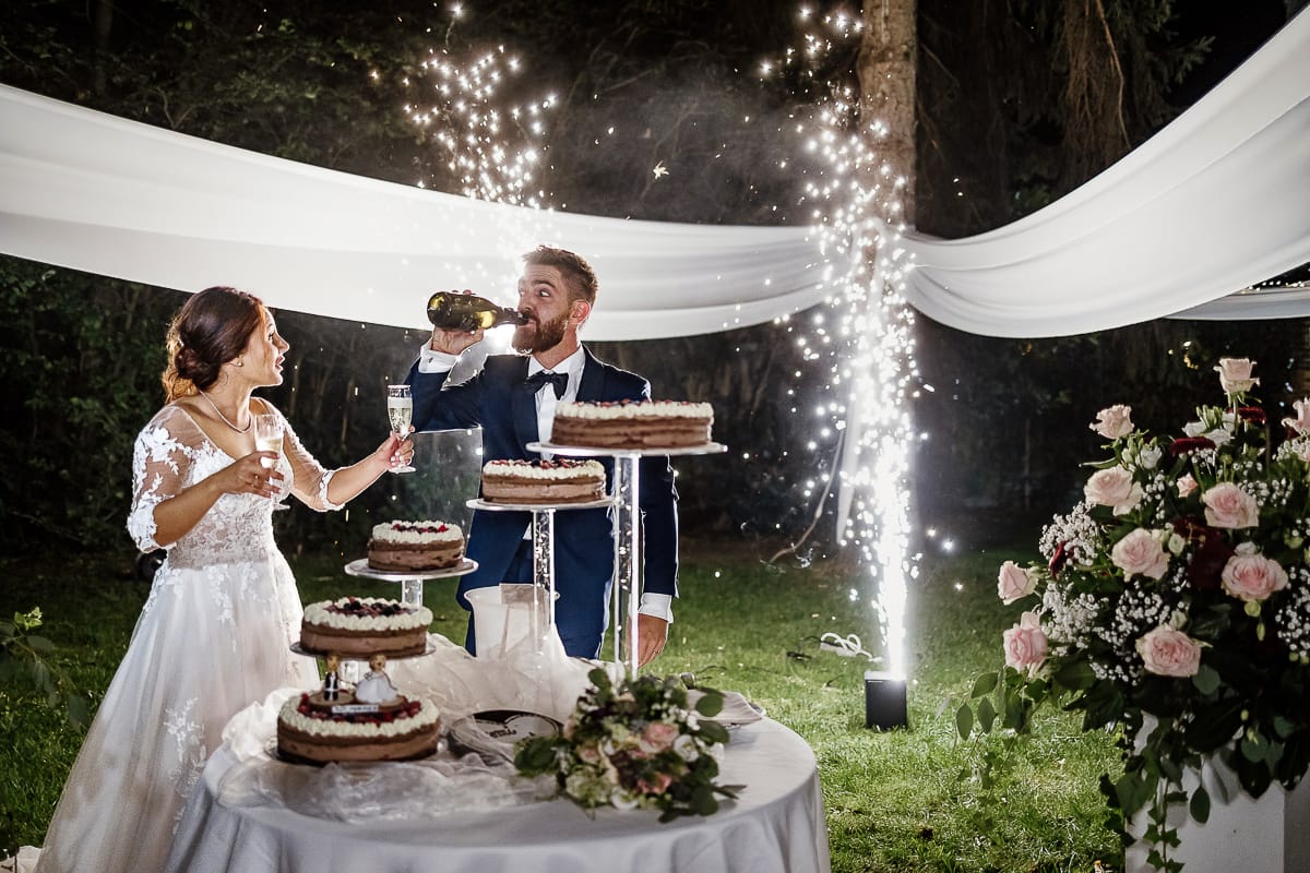 Castello dei Solaro, matrimonio di Noemi e Pietro. Taglio della torta.