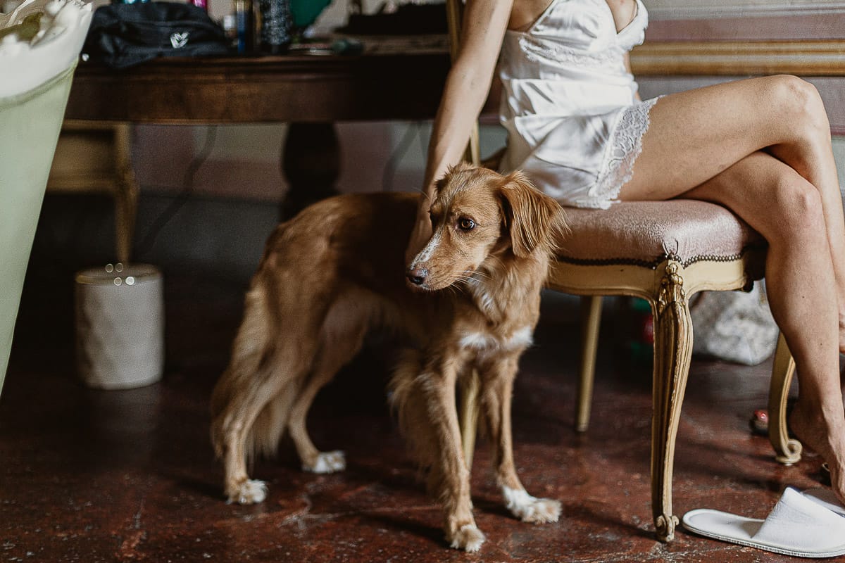 Matrimonio da favola al castello Canalis. Preparazione della sposa. Sposa al make-up con la cagnolina Nadine.