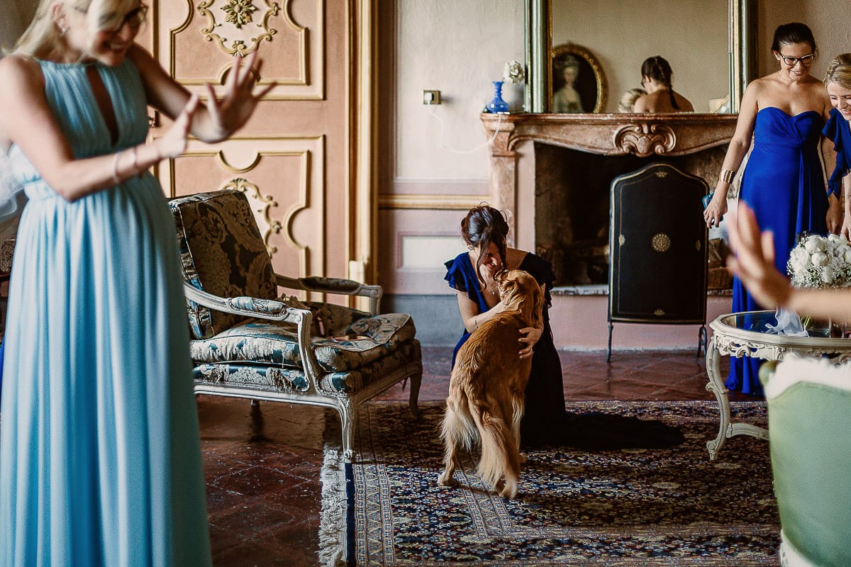 Matrimonio da favola al castello Canalis. Preparazione della sposa. Damigella gioca con la cagnolina.