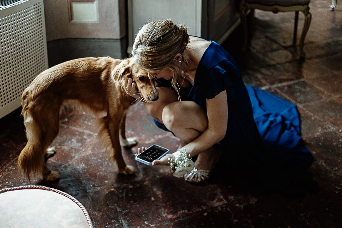 Matrimonio da favola al castello Canalis. Preparazione della sposa.Damigella con la cagnolina