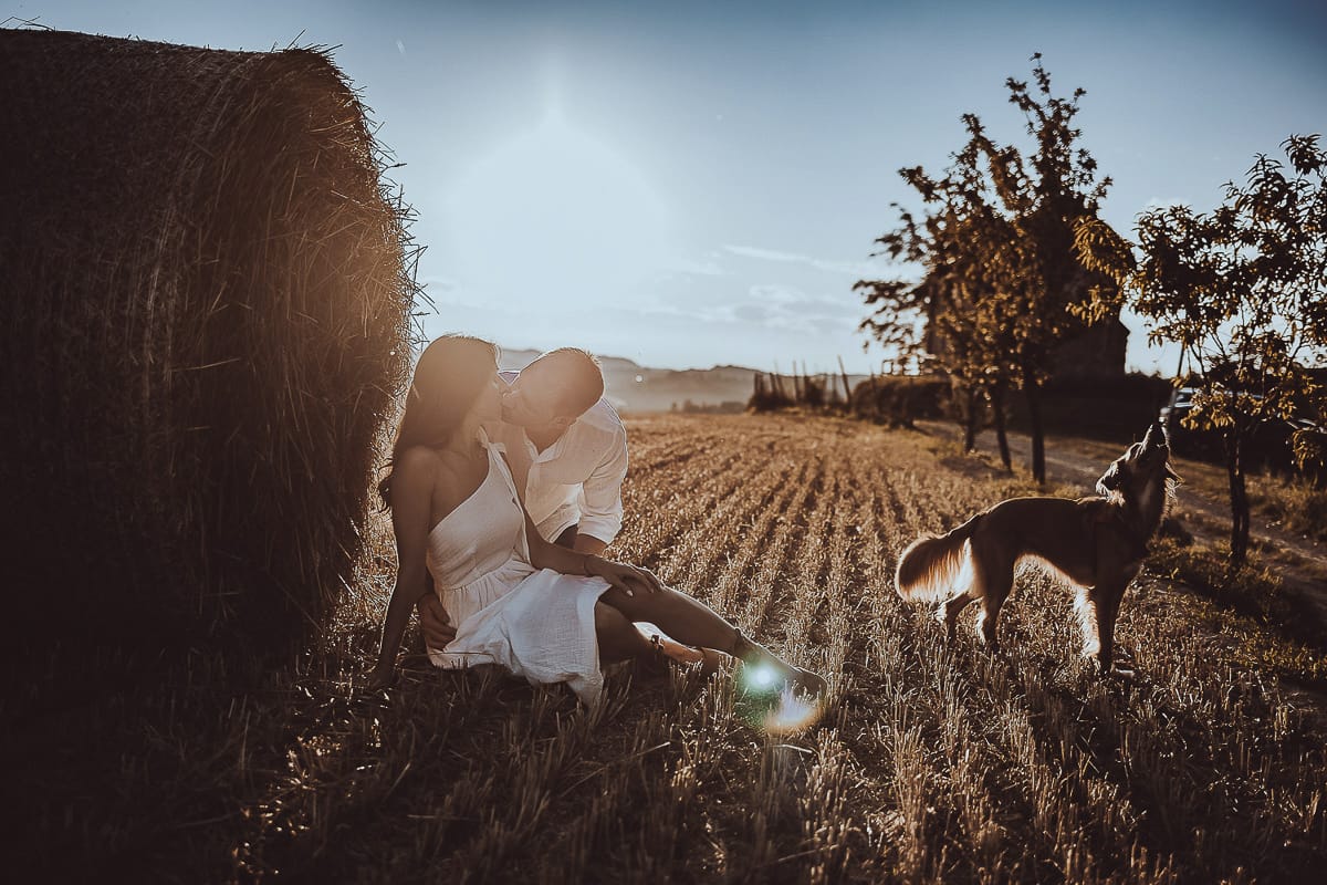 Prewedding romantico e da sogno al tramonto in Monferrato. Valeria e Omar seduti in un campo di grano tagliato vicino ad una rotoballa si baciano in controluce con la cagnolina vicino a loro