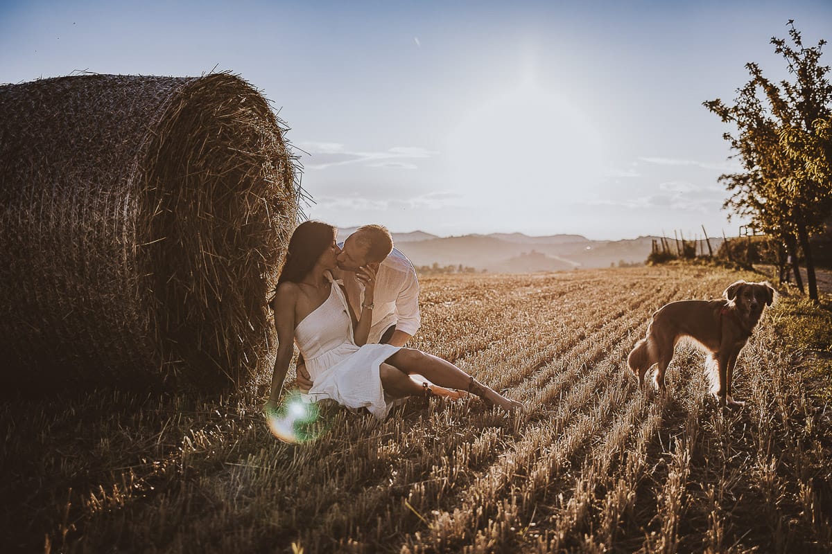 Prewedding romantico e da sogno al tramonto in Monferrato. Valeria e Omar seduti in un campo di grano tagliato vicino ad una rotoballa si baciano in controluce con la cagnolina vicino a loro