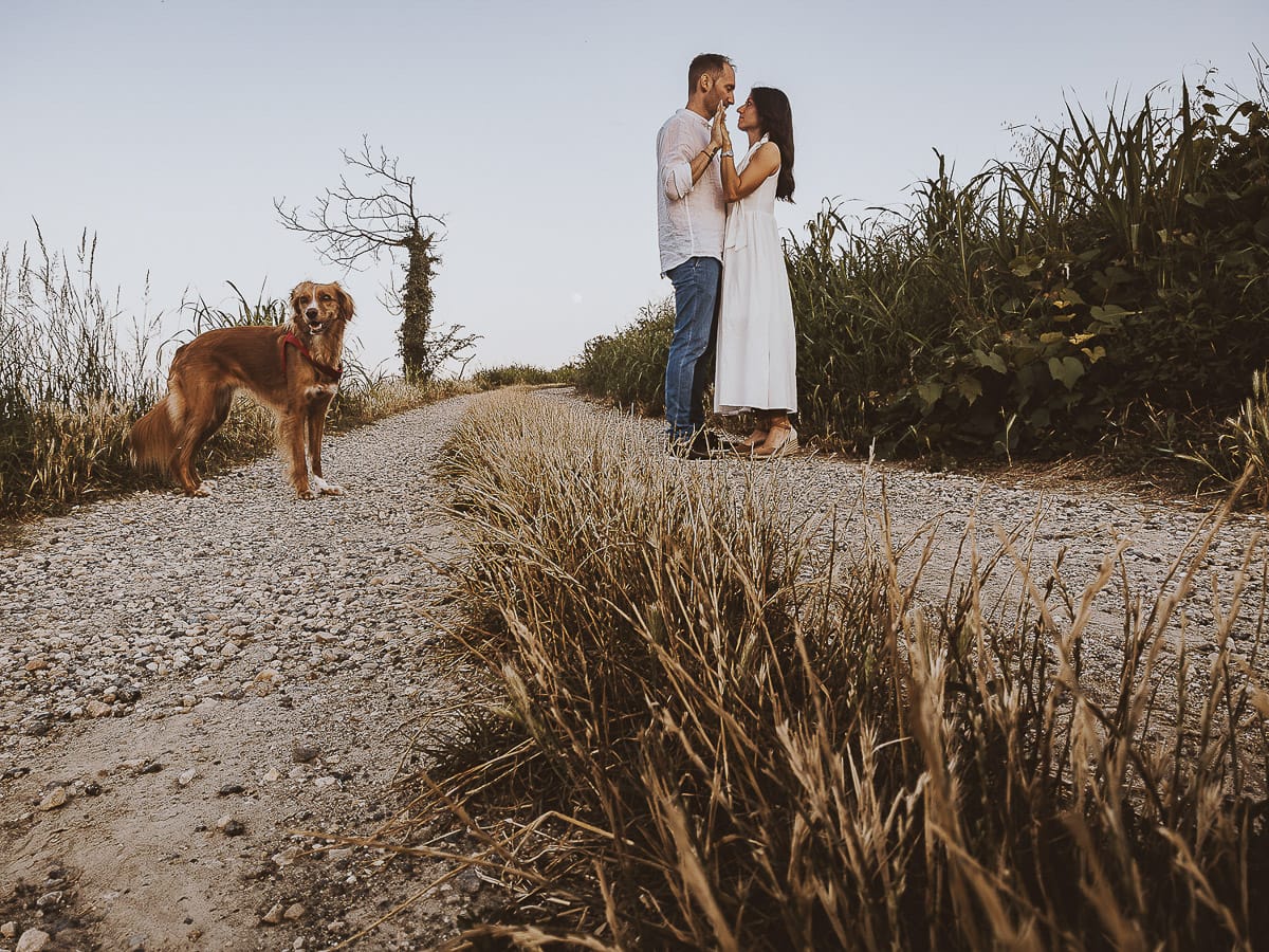 Prewedding romantico e da sogno al tramonto in Monferrato. Ritratto intensodi Valeria e Omar. Foto ripresa dal drone posto sul terreno. La cagnolina Nadine è vicina a loro.