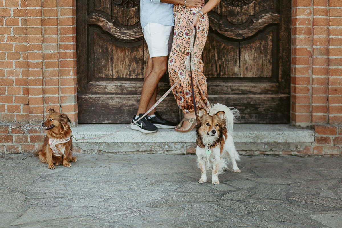 Prewedding da sogno a Nizza Monferrato intorno alla chiesa della Madonna della Neve. Fiammetta e Matteo davanti alla chiesa con i loro volpini Megan e Harry