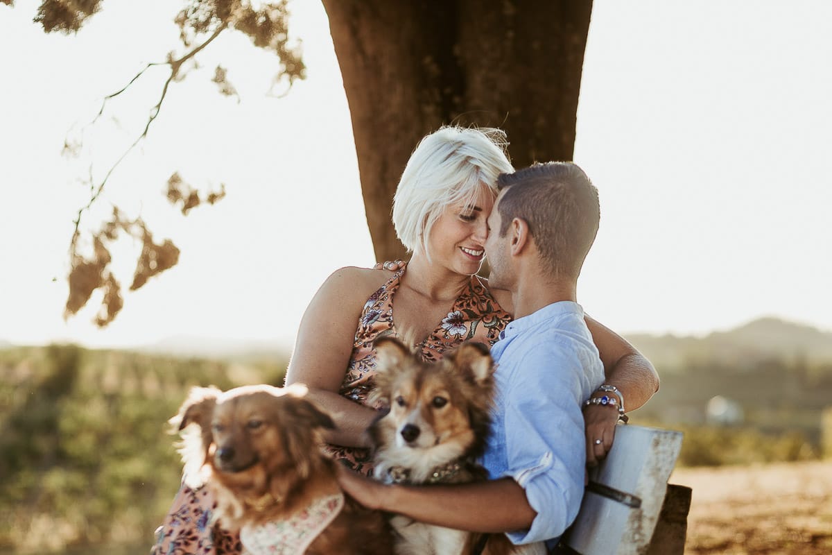 Prewedding da sogno a Nizza Monferrato intorno alla chiesa della Madonna della Neve. Matteo e Fiammetta seduti su di una panchina all'ombra di un grande albero con i volpini Megan e Harry.