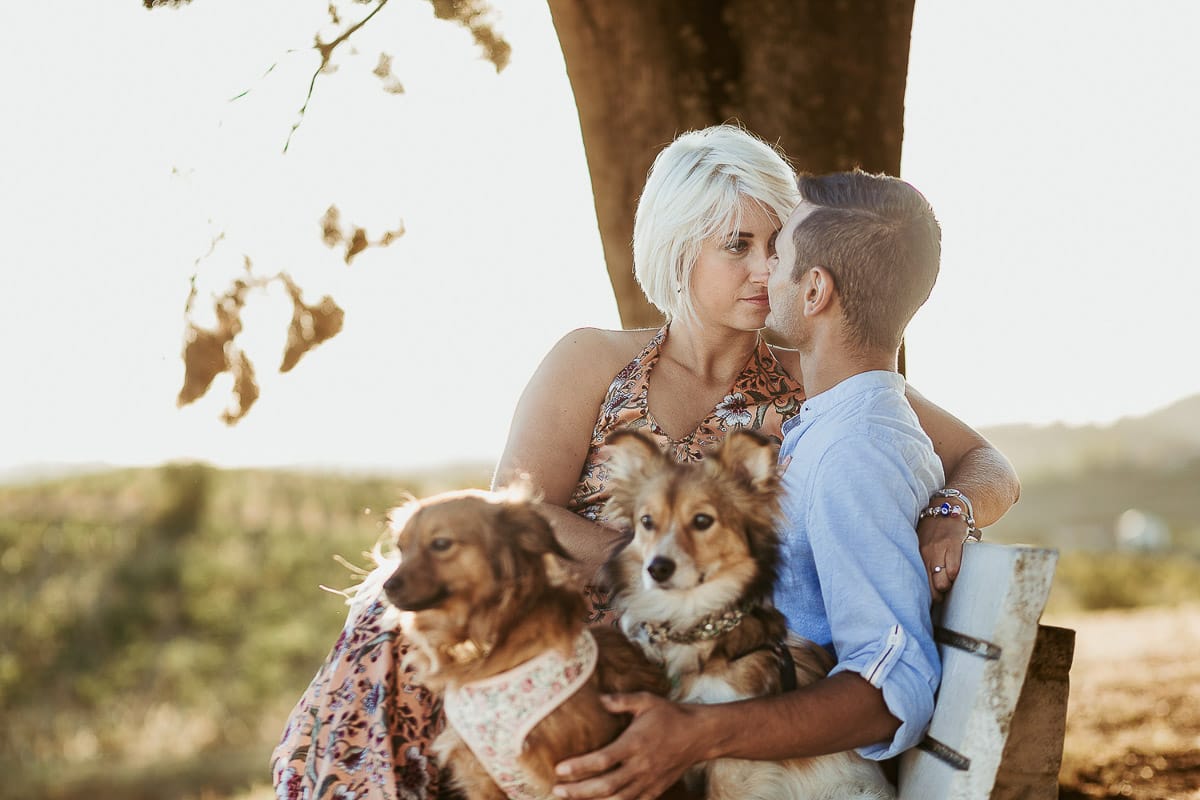 Prewedding da sogno a Nizza Monferrato intorno alla chiesa della Madonna della Neve. Matteo e Fiammetta seduti su di una panchina all'ombra di un grande albero con i volpini Megan e Harry.