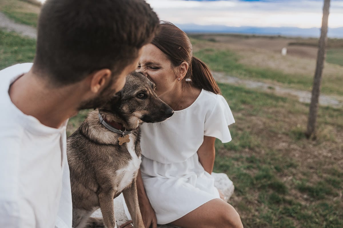 Prewedding spontaneo e poetico nel Monferrato a Mombello di Torino. Riccardo e Federica seduti su di una panchina di pietra con la cagnolina