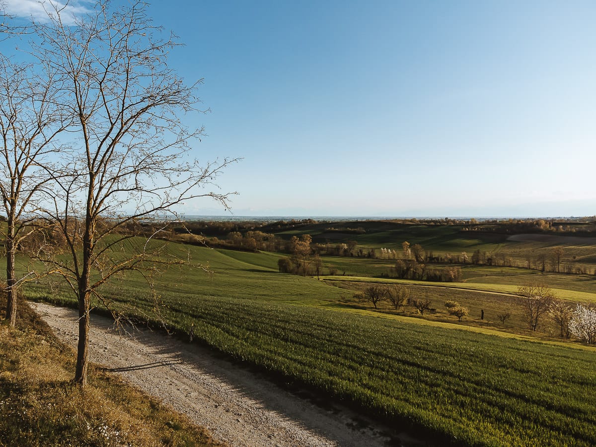 Veduta delle colline del Monferrato Torinese nella zona di Mombello di Torino