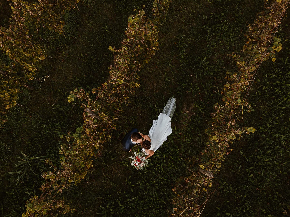 Fotografo matrimonio Torino. Matrimonio eco-consapevole a Cascina Ranverso. Ritratto degli sposi al tramonto. Sposi passeggiano nel vigneto. Foto dal drone