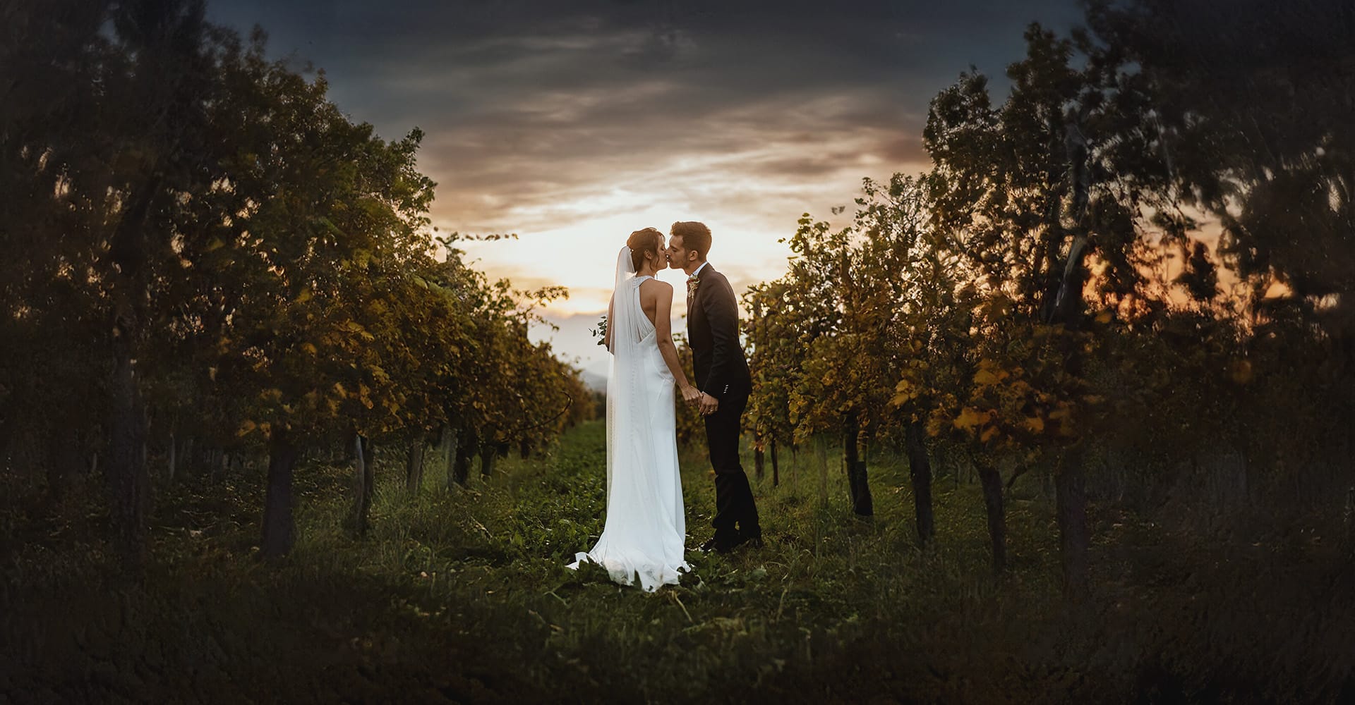 Fotografo matrimonio Torino. Matrimonio a Cascina Ranverso, ritratto di coppia degli sposi che si baciano nel vigneto al tramonto, tra l'ora dorata e l'ora blu.