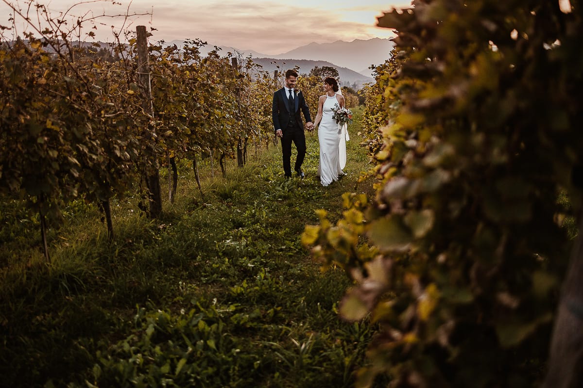 Fotografo matrimonio Torino. Matrimonio eco-consapevole a Cascina Ranverso. Ritratto degli sposi al tramonto. Sposi nel vigneto passeggiano