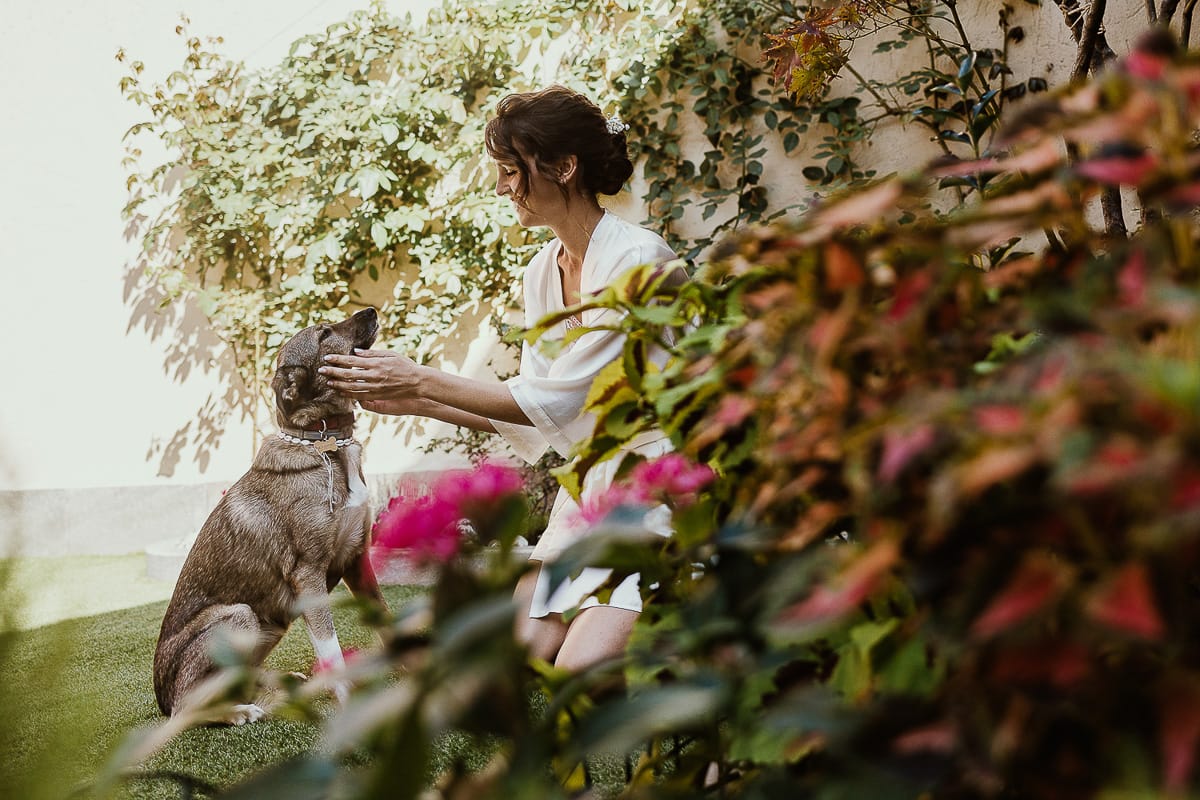 Fotografo matrimonio Torino. Matrimonio eco-consapevole a Cascina Ranverso. Preparazione della sposa a Chieri. Sposa con la sua cagnolina Macarena