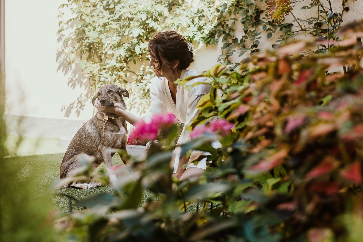 Fotografo matrimonio Torino. Matrimonio eco-consapevole a Cascina Ranverso. Preparazione della sposa a Chieri. Sposa con la cagnolina Macarena