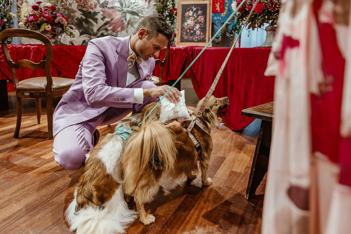 Matrimonio boho-chic da favola nel Monferrato. Fotografo matrimonio Monferrato. matrimonio a Molare (AL). cerimonia civile nel comune di Molare. Sposo sfila il cuscinetto con gli anelli dal collare del cane.