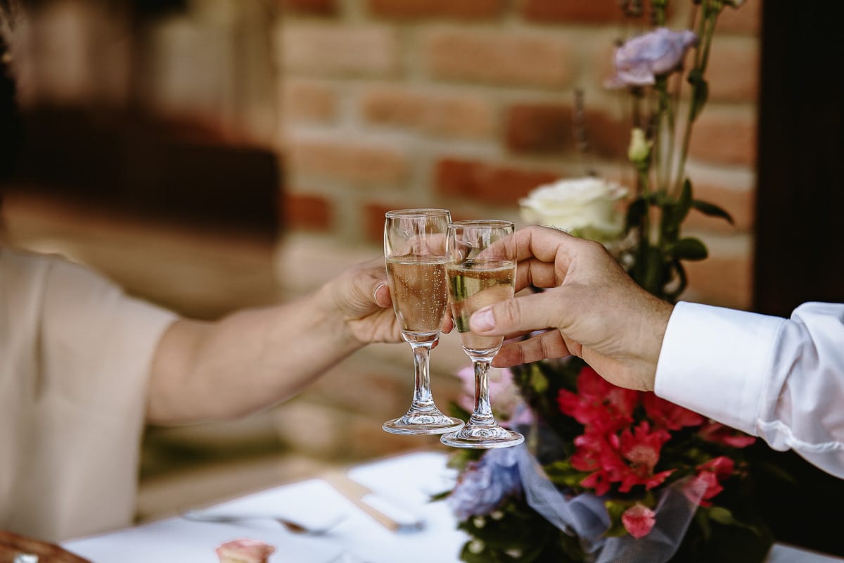 Fotografo matrimonio in Monferrato. Matrimonio di Serena e Fabrizio al Vecchio Castagno di Cocconato d'Asti. Aperitivo. Sposi brindano.