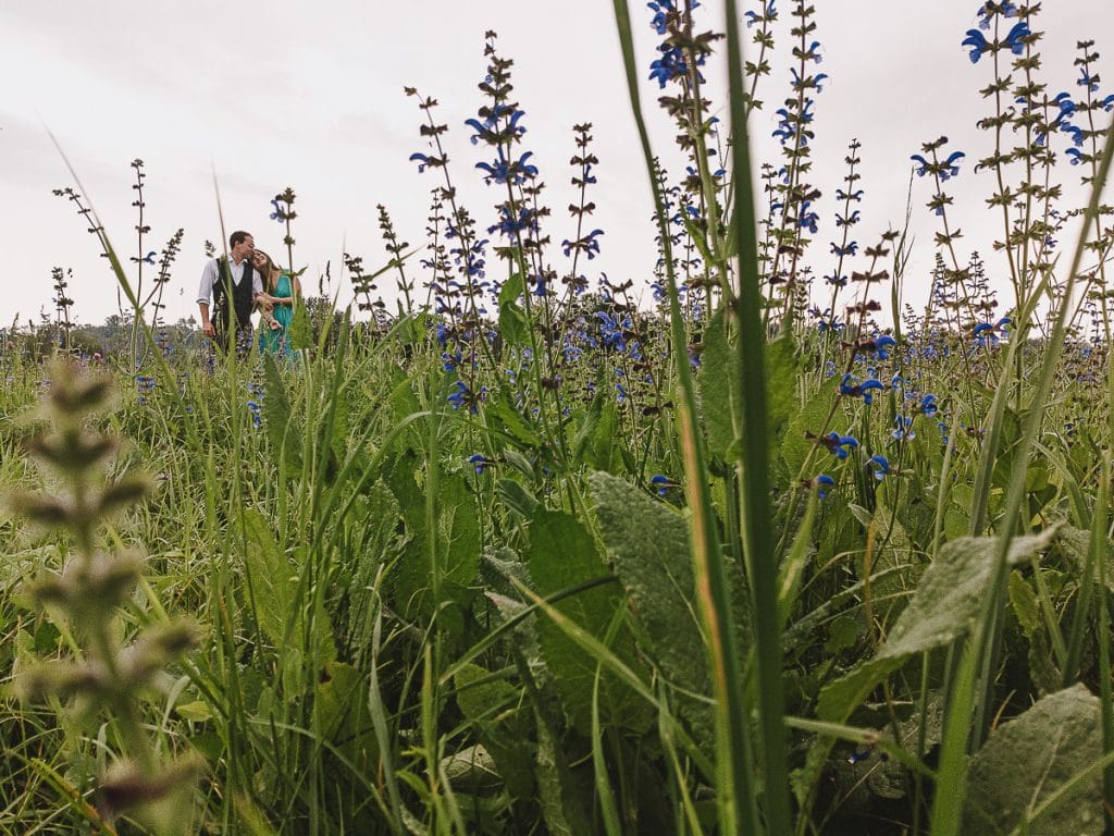 卡斯特尔努沃·顿·博斯科航空俱乐部的婚前拍摄。无人机从地面拍摄情侣，背景是草茎和花朵。 