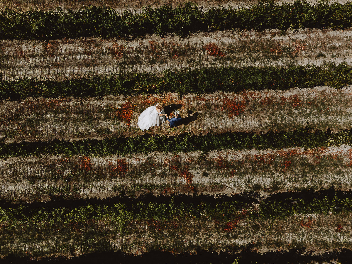 Fotografo Matrimonio in Piemonte. Ritratti di coppia degli sposi nel vigneto di famiglia a Moncucco Torinese. Foto aerea dal drone.