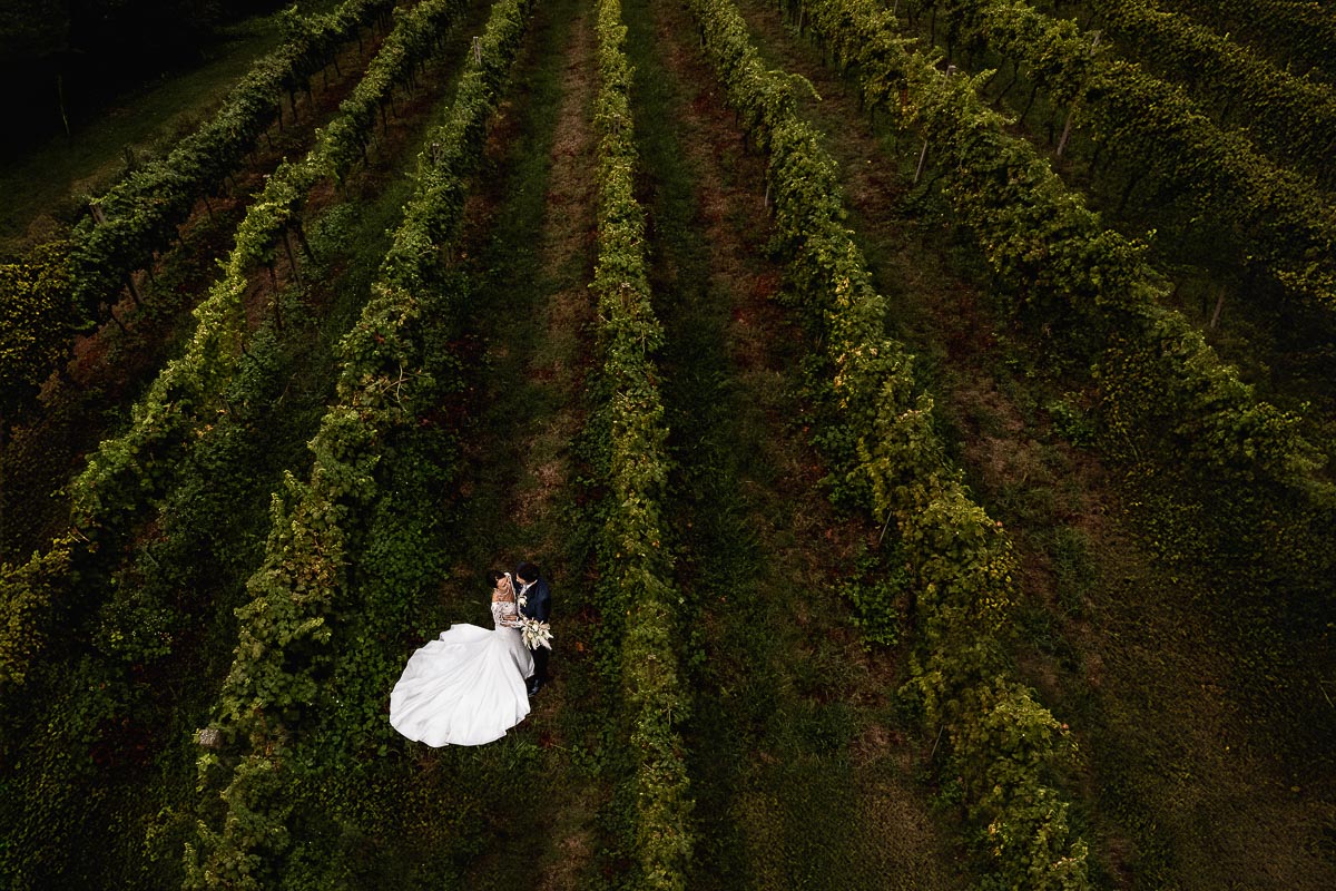 Fotografo Matrimonio Lago di Viverone, Tenuta Variselle. Sessione di coppia preserale nel vigneto. Foto dal drone.