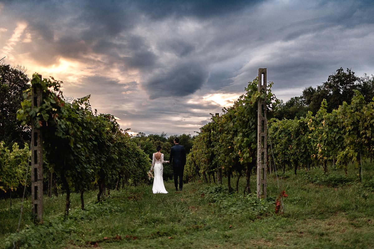 Fotografo Matrimonio Lago di Viverone, Tenuta Variselle. Sessione di coppia preserale nel vigneto. Sposi camminano al tramonto.